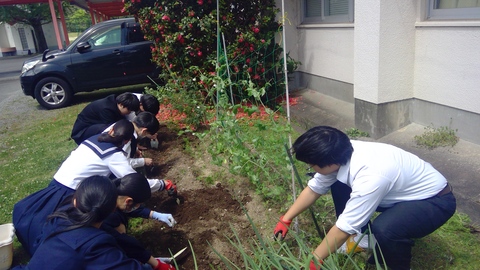 WIN_20260417_11_03_52_Pro