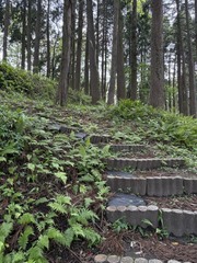 IMG_1043