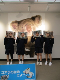 コアラ館