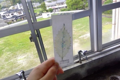 栞にデコレーション