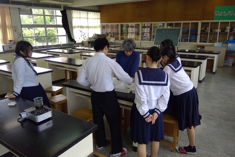 実験の様子