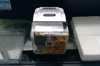 自動餌やり機