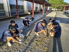 IMG_20260823_064949233_HDR