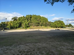 IMG_20260823_065218812_HDR